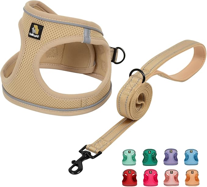 BELLA & PAL Puppy Harness with Leash Set, Dog Harness for Small Dogs No Pull, Dog Leash for Small Dogs, Step in Harness for Extra Small Dogs, Khaki Harness, XXS