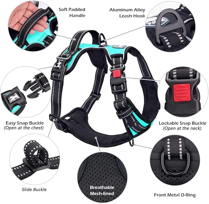 PoyPet No Pull Dog Harness, No Choke Front Clip Dog Reflective Harness, Adjustable Soft Padded Pet Vest with Easy Control Handle for Small to Large Dogs(Mint Blue,L)