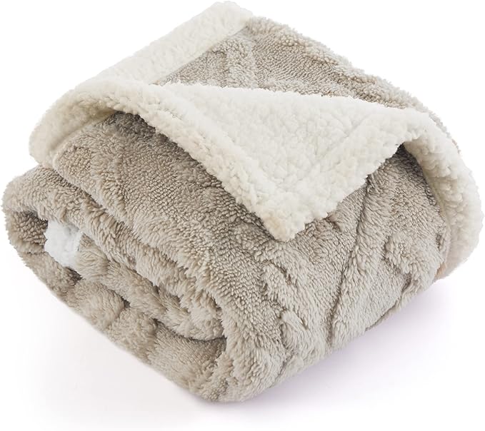 Bedsure Waterproof Dog Blankets for Small Dogs - Pet Blanket for Couch Protector Washable, Jacquard Coral Fleece Cat Throw Blanket, Soft Plush Reversible Furniture Protection, 25"x35", Pale Oak