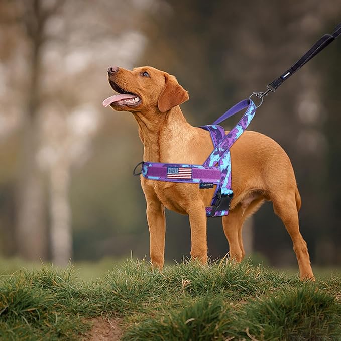 Annchwool No Pull Dog Harness with Soft Padded Handle,Escape Proof and Quick Fit to Adjust Dog Harness,Easy for Training Walking for Small & Medium and Large Dog(Camo Purple,S)