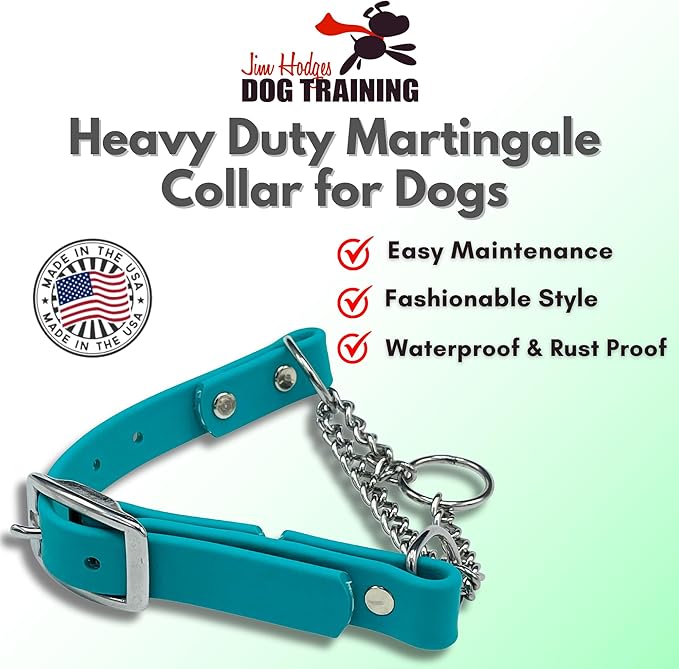 Martingale Collar for Dogs, Biothane, Stainless Steel Hardware, No Pull, Made in The USA, Professional Grade, Extra Large, Teal