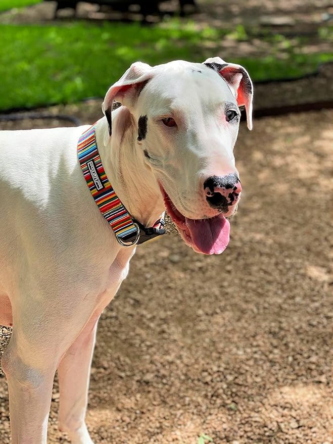 Lucky Love Dog Wide Dog Collar - Adjustable, Durable, Soft Webbing, & Comfortable 1.5 inch Wide Collar for Dogs Male and Female - in Hippie Pattern with Strong Buckle, X-Large Size