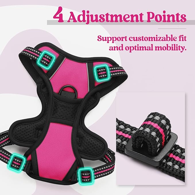rabbitgoo Dog Harness, No-Pull Pet Harness with 2 Leash Clips, Adjustable Soft Padded Dog Vest, Reflective No-Choke Pet Oxford Vest with Easy Control Handle for Small Dogs, Hot Pink, XS