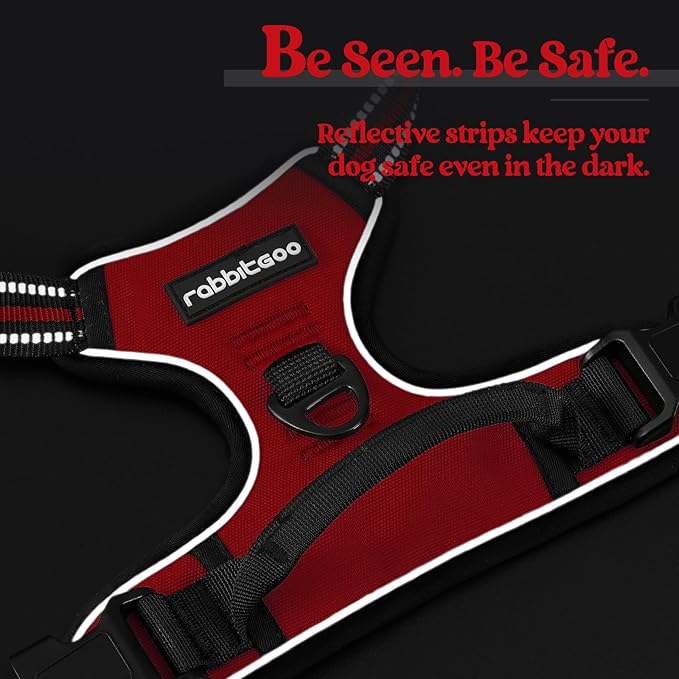 rabbitgoo Dog Harness, No-Pull Pet Harness with 2 Leash Clips, Adjustable Soft Padded Dog Vest, Reflective No-Choke Pet Oxford Vest with Easy Control Handle for Medium Dogs, Red, M