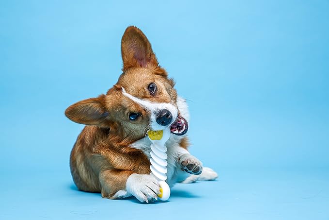 Hartz Chew ‘n Clean Twisty Bone Dog Chew Toy, Bacon Scented Chew Toy for Moderate Chewers, Small/Medium, Color Varies