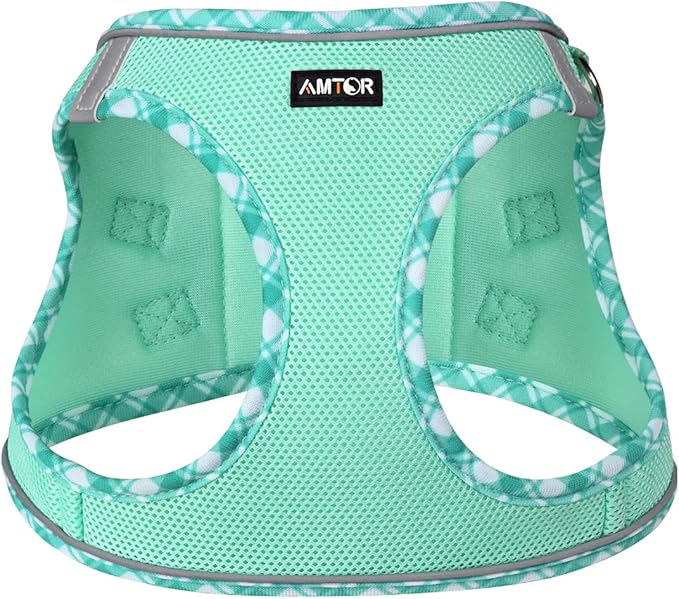 AMTOR Small Dog Harness with Leash Set, No Escape Easy Walk Puppy Harnesses for Training Walking, Step-in Reflective Soft Dogs Vest for XS S Medium Extra-Small Large Sized Dog(Green,XS)