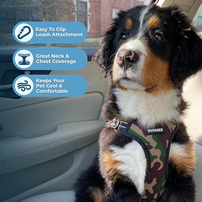 Best Pet Supplies Voyager Adjustable Dog Vest Harness Breathable No Pull Harness for Small, Medium, Large Dogs, Harness for Walking, Jogging, Easy Step-in, Reflective Stripes - (Army Base), L