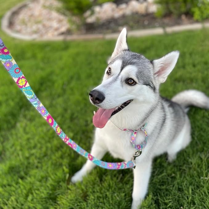 Lucky Love Dog Martingale Collar and Leash Set, Premium No Slip Martingale Collar for Dogs, Great for Whippets, Greyhounds, and More (Caroline, Medium - Combo)