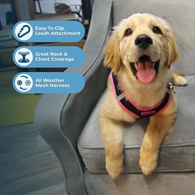 Voyager Step-in Air Dog Harness - All Weather Mesh, Reflective, No Pull Harness for Small, Medium Dogs, Cats - Secure with Hook & Loop Fastener, Buckle, Double D-Rings - Black/Pink Trim, L