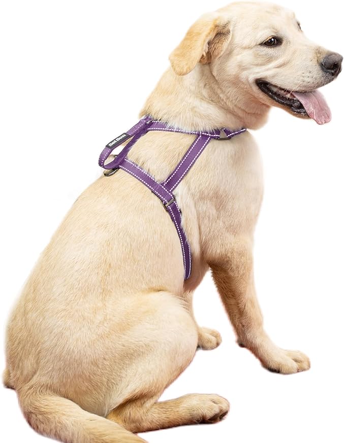 SATSUN Dog Harness for Large Dogs, No Pull Dog Harness with 2 Adjustable Points & 1 Leash Clip, Reflective Comfortable Dog Vest with Easy Control Handle Ideal for Walking and Training, Purple,XL