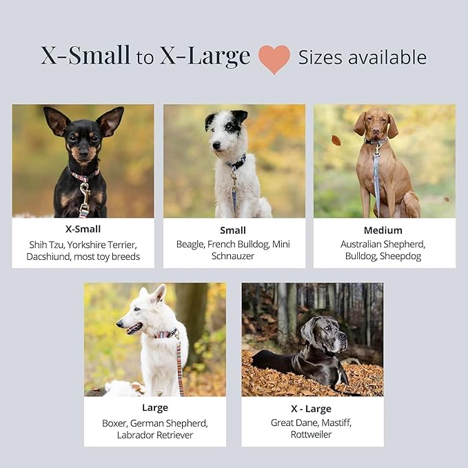 Lucky Love Dog, Blue and Violet Plaid Dog Collar and Leash Set, Adjustable & Comfy Combo Set for Boy and Girl Dogs - (Large, Scotty Combo)