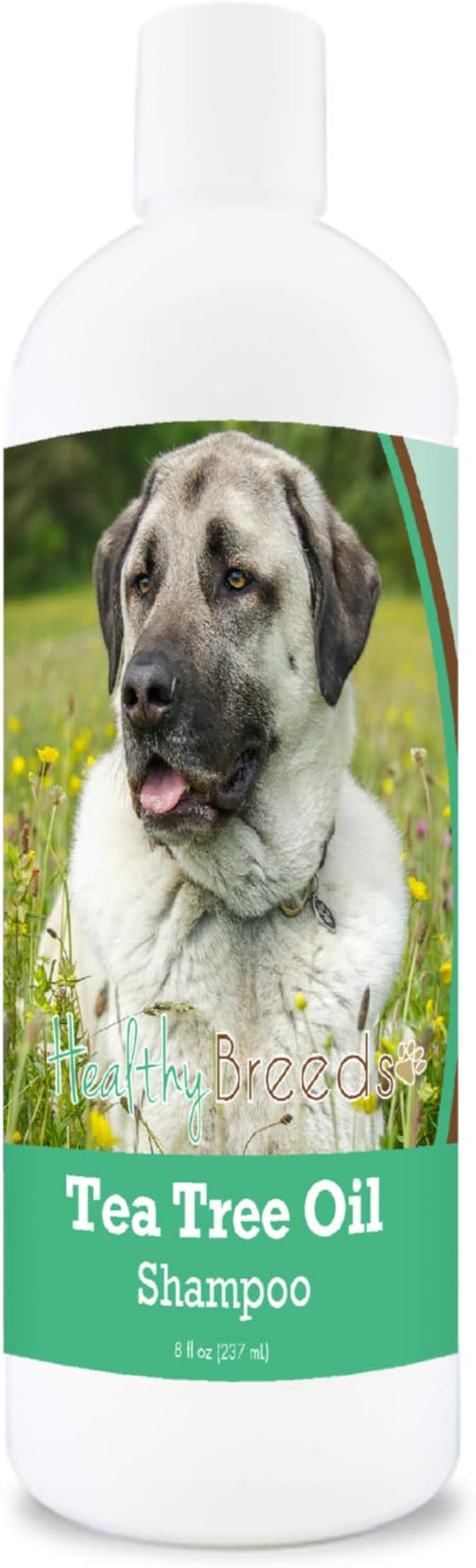Healthy Breeds Anatolian Shepherd Dog Tea Tree Oil Shampoo – Formulated for Dry, Irritated Skin – Reduce Dandruff – Wintergreen Scent – 8 oz