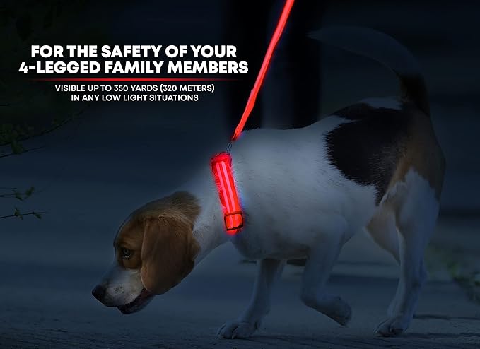 Illumiseen LED Dog Collar USB Rechargeable - Bright & High Visibility Lighted Glow Collar for Pet Night Walking - Weatherproof, in 6 Colors & 6 Sizes (Red X-Large)