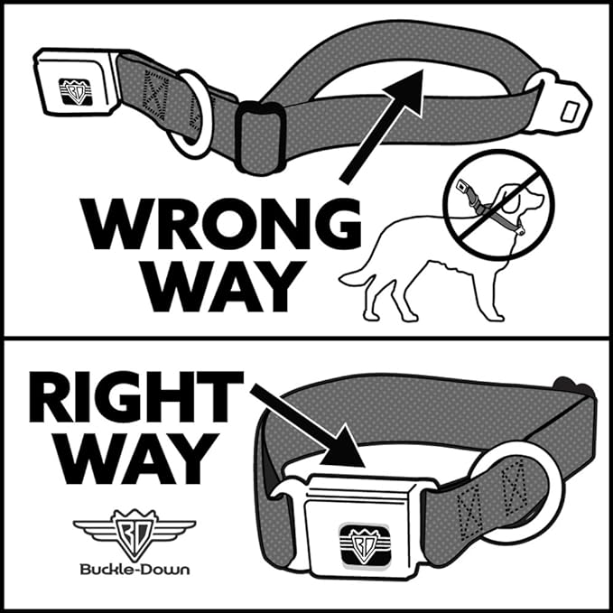 Buckle-Down Seatbelt Buckle Dog Collar - Dug 3-Poses/SQUIRREL! Brown/Yellow/White - 1" Wide - Fits 11-17" Neck - Medium