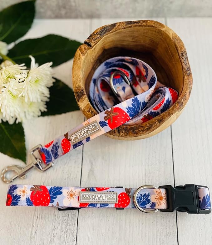 Lucky Love Dog Collar Combo Set, Strawberry Cute Girl Dog Collar and Leash Set, Dog Collar and Leash Set for Large Dogs, Part of Purchase Donated to Rescue (Large, Sweet Berry, Combo)