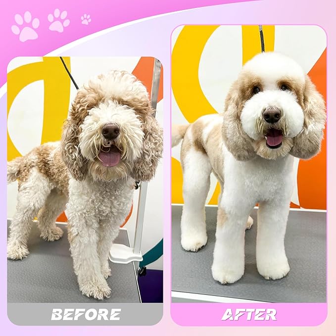 JASON Dog Grooming Scissors Kit, Professional 6 in 1 Dog Scissors Set - 6.5" Thinning, 7" Straight, 7" Up-Curved, 7" Down-curved Shears and Comb for Dog Cat Pet (Rainbow)