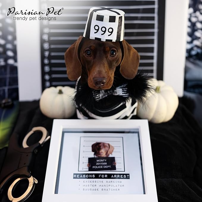 Parisian Pet Dog Shirt - Prisoner Dog Costume - 100% Cotton Black and White Strips Dog Clothes - Lightweight Polyester Dog Shirts - Sleeved Dog Costume for Large Dogs - Pet Costumes - 2XL