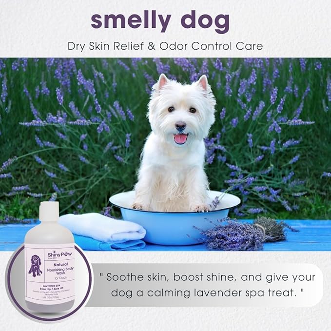 Lavender Shampoo Spa Essentials Nourishing Dog Body Wash 16 oz by Shiny Paw | Anti Itch Shampoo for Dogs | Dog Bath Coat Cleansing for Dogs | Made in The USA