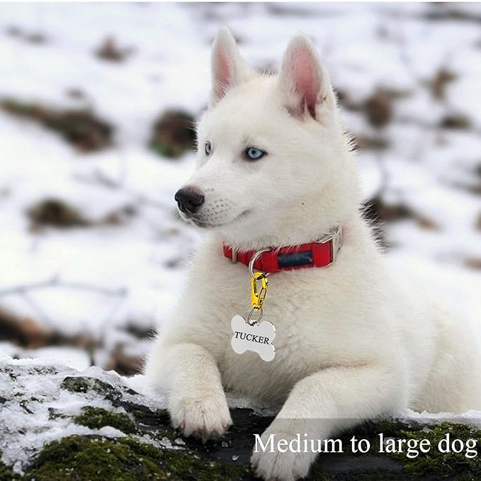 IVIA Dog Tag Clips / 2 Pack/Multiple Size 304 Stainless Steel Quick Clip with Rings/Easy Change Dog Cat ID Tag Holder for Small pet Collars and Harnesses.(2 Medium Gold)