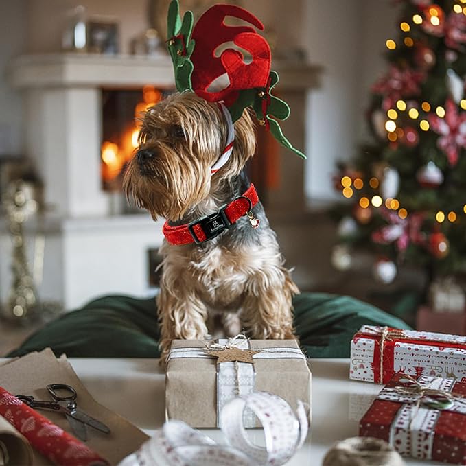 Lionheart glory Christmas Dog Collar, Red Dogs Collar Adjustable Soft Comfortable Collars for Medium Dogs Girl or Boy Pet Gift Fall Cute Collar