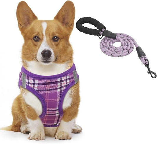 Athena Collection Step-in Dog Harness with 5 ft Leash, Small to Medium Dog Harness Leash Set Medium No Pull Dog Vest Harness with Reflective Strips Adjustable Velcro, Easy Walk Puppy Harness, Purple