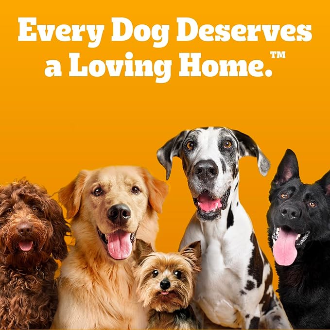 Pedigree Canine Cookout Soft Dog Treats, Chicken Flavored Meaty Sticks and Strips, (2) 18.2 oz Bags