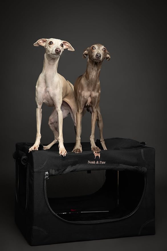 Noah & Paw Collapsible Dog Crate 26 Inch, Small Dog Crate for Small Medium Breeds, Travel Kennel for Car, Including Pet Mat for Pet Cage, 2 Storage Pockets, Handbag, 10mm Locking Zipper 26 * 17 * 17