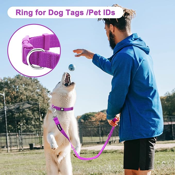 azuza 3 Pack Dog Collars Comfortable and Adjustable Nylon Dog Collars for for Small Dogs, S (11-16inch)，Pink, Hot Pink and Purple