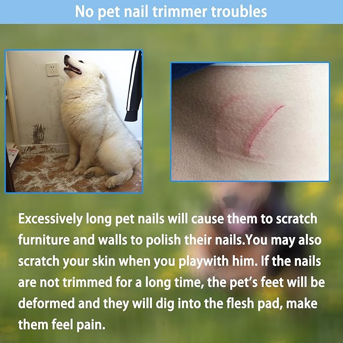 5Pieces Dogs and Cats Grooming Nail Clippers Kit Pet Claws Nail Clipper Trimmers, with Protective Guard Lock to Avoid Over Cutting, Professional Trimmers for Large and Small Cat and Dog Animal. (Blue)