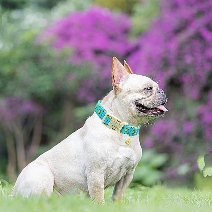 Lionheart glory Dog Collar, Bees Blue Dogs Collar Adjustable Soft Comfortable Collars for Small Dogs Girl or Boy Pet Gift Cute Spring Summer Collar