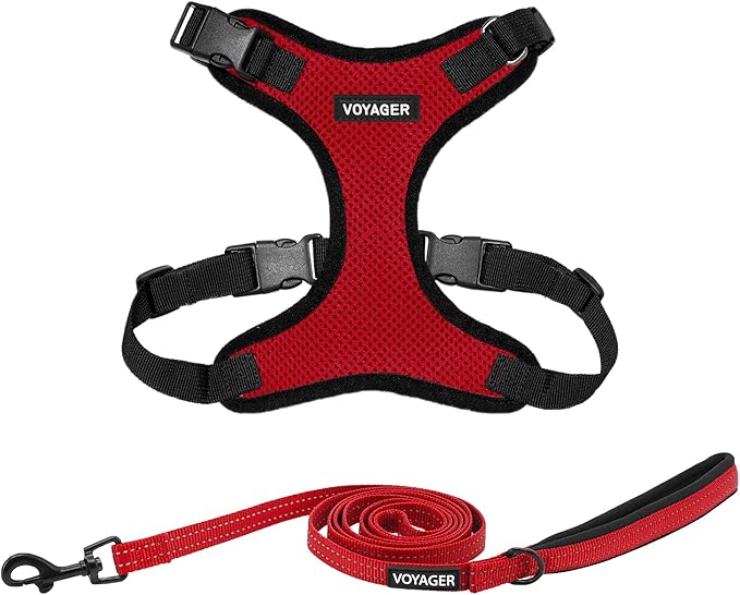 Voyager Step-in Lock Dog Harness w Reflective Dog Leash Combo Set with Neoprene Handle 5ft - Supports Small, Medium and Large Breed Puppies/Cats by Best Pet Supplies - Red/Black Trim, XS