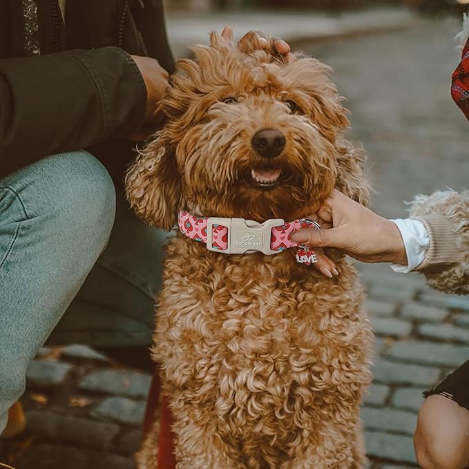 Valentine's Day Dog Collar - Cute Pink Valentines Dog Collar Girl Boy Durable Adjustable Spade Heart Pattern Charm Dog Collars for Small Medium Large Dogs XL