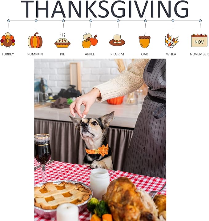 Unique style paws Halloween& Dog Collar with Flower Tie Pumpkin Cotton Collar Adjustable Puppy Collar Best Thanksgiving Gift for Small Medium Large Dogs-Turkey & Pumpkin Theme-XL