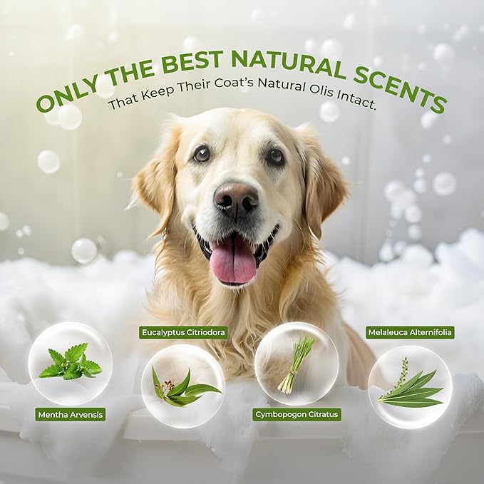 Natural Pet Shampoo for Dogs & Cats – Dog Shampoo Itchy Skin Relief, Odor Control & Deep Cleansing – Plant Based Formula Dog Shampoo Cat Shampoo – Safe for Sensitive Skin, Reduce Shedding – 1 Box