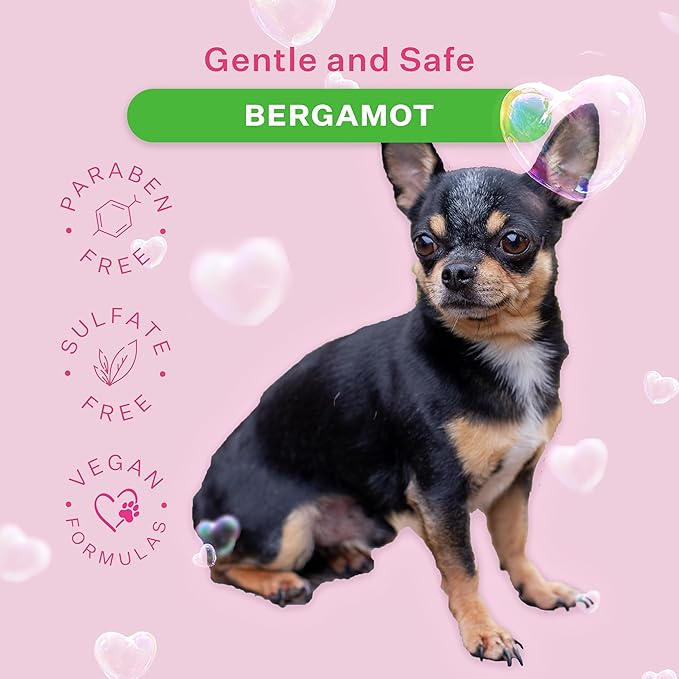 Paris Hilton Pet Iconic Bergamot Scent No-Rinse Dog Shampoo, Waterless Dog Wash, Hypoallergenic, 280ml – Quick Clean for Dogs, Easy Grooming, No Rinse Needed