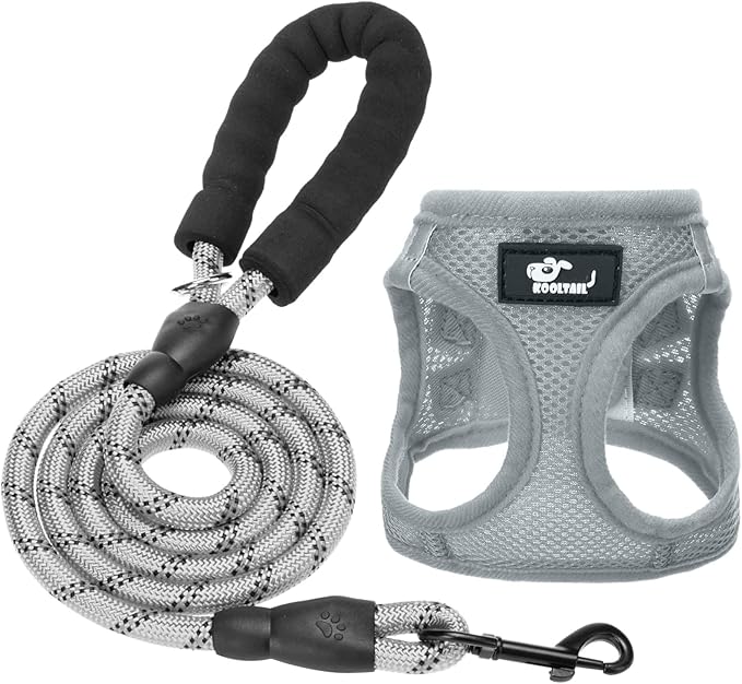 Breathable Air Mesh Dog Harness with Reflective Leash, Adjustable No Pull Step in Vest Harness for Small Dogs Puppies Cats, Grey, Small