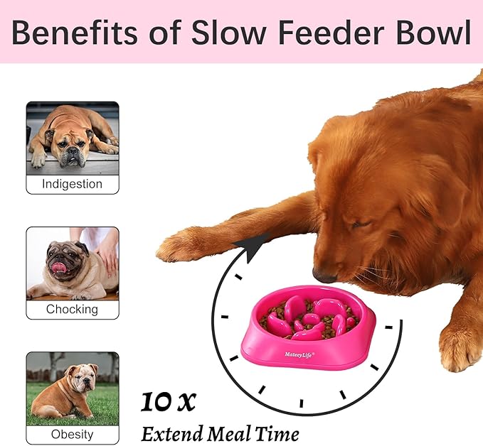 MateeyLife Slow Feeder Dog Bowls, Anti-Choking Puzzle Dog Food Bowls, Anti-Slip Interactive Feeding Slow Down Eating, Bloat Stop Maze Dishes for Medium Large Breeds Purple