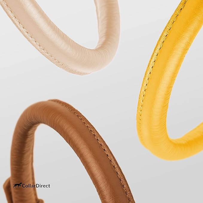 CollarDirect Rolled Leather Dog Collar, Soft Padded Round Puppy Collar, Handmade Genuine Leather Collar Dog Small Large Cat Collars 13 Colors (18-22 Inch, Yellow Textured)
