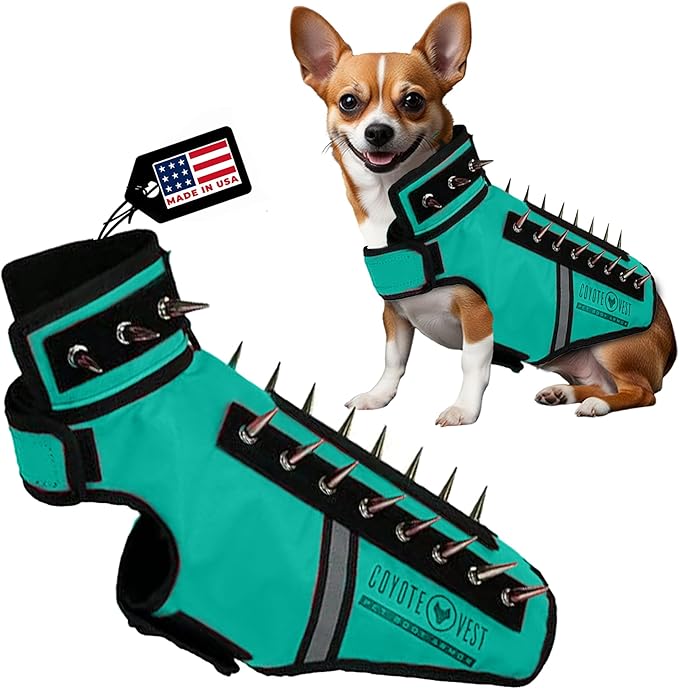 CoyoteVest SpikeVest Dog Harness Vest for Small Dogs, Reflective Dog Vest with Spikes to Shield Your pet from Coyotes, Raptor and Animal Attacks, Anti Hawk Vest, Made in USA (XS-Turquoise)
