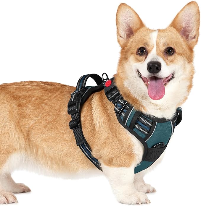 rabbitgoo Dog Harness Small Sized, No Pull Pet Harness with 3 Buckles, Adjustable Soft Padded Dog Vest with Instant Control Handle, Easy Walking Reflective Pet Vest for Small Dogs, Blue Coral, S