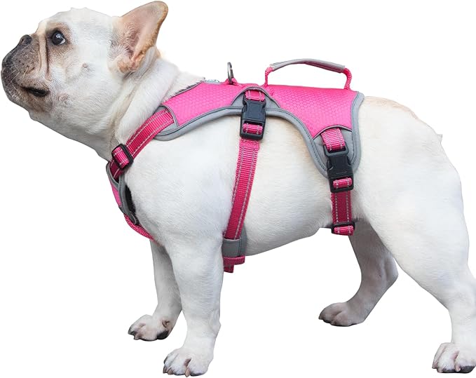Escape Proof Dog Harness, Escape Artist Harness, Reflective Dog Harness with Handle, Durable,Adjustable Vest for Small Medium Large Dogs Walking, Training, and Running Gear(Rose Red, M)