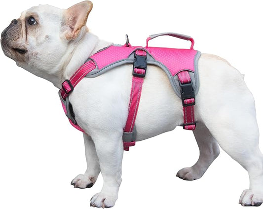 Escape Proof Dog Harness, Escape Artist Harness, Reflective Dog Harness with Handle, Durable,Adjustable Vest for Small Medium Large Dogs Walking, Training, and Running Gear(Rose Red, M)