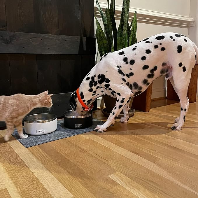 YETI Boomer 8, Stainless Steel, Non-Slip Dog Bowl, Holds 64 Ounces