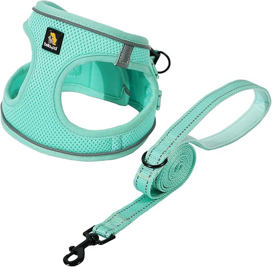 BELLA & PAL Puppy Harness with Leash Set, Dog Harness for Small Dogs No Pull, Dog Leash for Small Dogs, Step in Harness for Extra Small Dogs, Light Green Harness, XS
