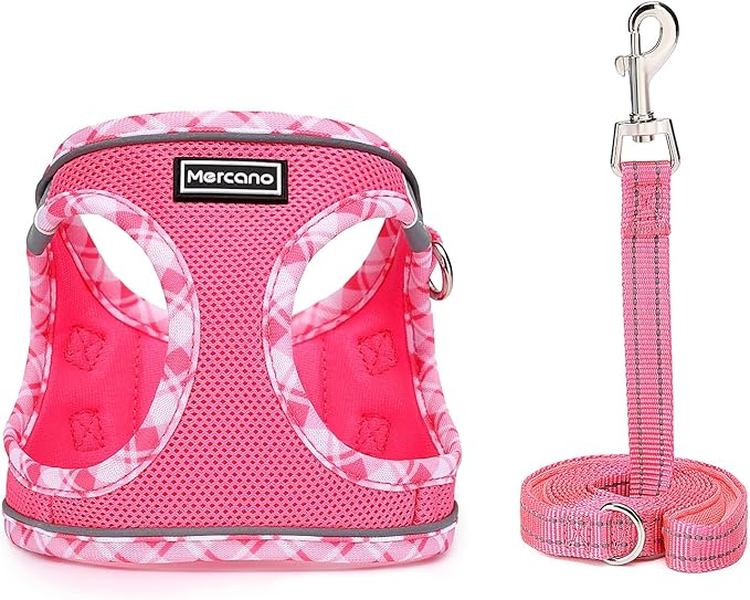 Mercano Soft Mesh Dog Harness and Leash Set, No-Chock Step-in Reflective Breathable Lightweight Easy Walk Vest Harnesses with Safety Buckle for Small Medium Dogs, Cats (M, Fuchsia)