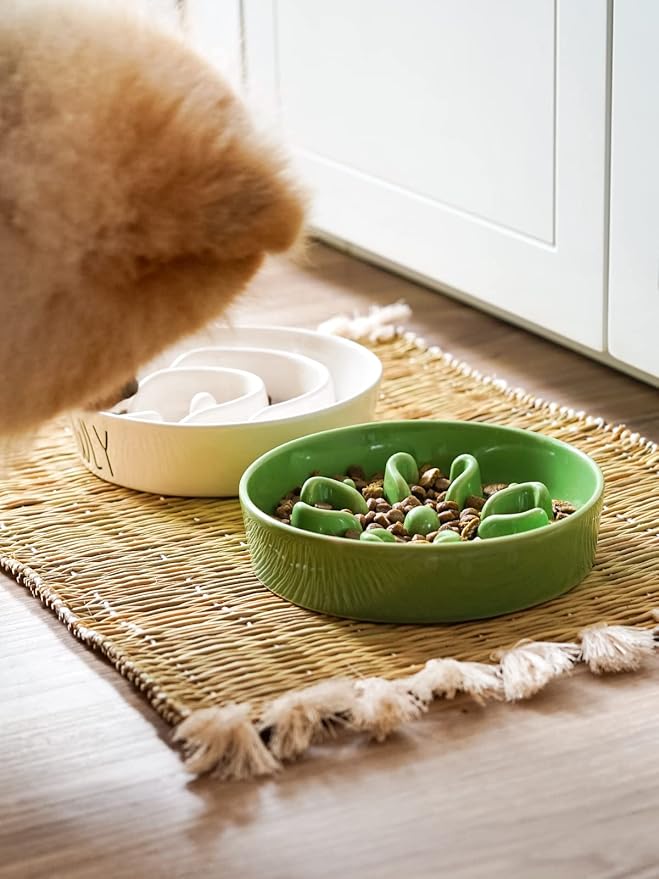 LE TAUCI Ceramic Slow Feeder Dog Bowls Small Breed, 0.6 Cups Dog Food Dish for Fast Eaters, Puzzle Bowl for Small Dogs and Cats,Green