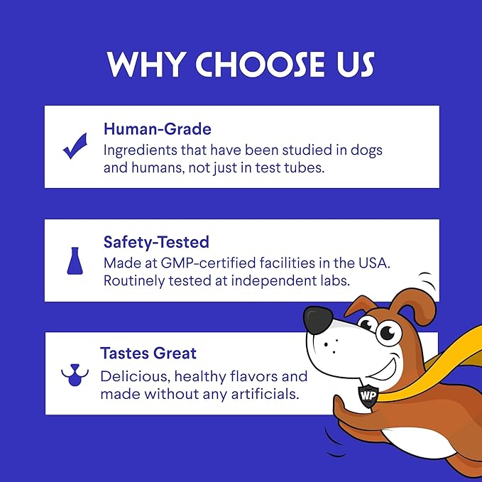 Bone Broth for Dogs – Bone Broth Powder with Organic Mushrooms & Collagen for Digestion, Immunity & Joint Support – Tasty Beef Supplement for Dogs of All Ages, Sizes & Breeds – 3.20 oz