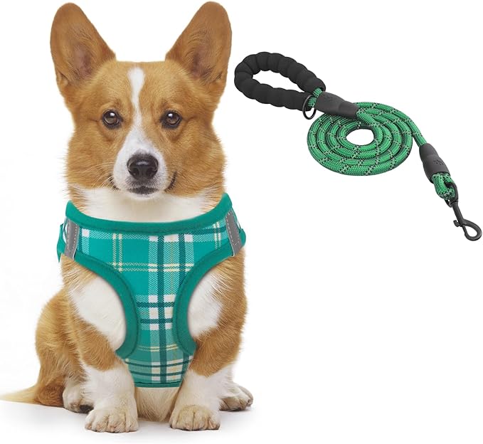 Athena Collection Step-in Dog Harness with 5 ft Leash, Small to Medium Dog Harness Leash Set Medium No Pull Dog Vest Harness with Reflective Strips Adjustable Velcro, Easy Walk Puppy Harness, Green