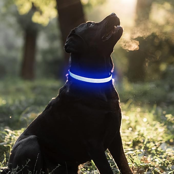 BSEEN Light Up Dog Collars - Reflective LED Dog Collar, Rechargeable Puppy Collar for Small Dogs, Glow in The Dark Dog Camping Gear, Flashing Dog Lights for Night Walking (Small, Blue)