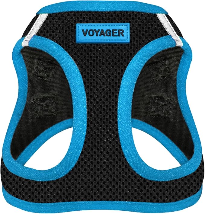 Voyager Step-in Air Dog Harness - All Weather Mesh, Reflective, No Pull Harness for Small, Medium Dogs, Cats - Secure with Hook & Loop Fastener, Buckle, Double D-Rings - Black/Blue Trim, L
